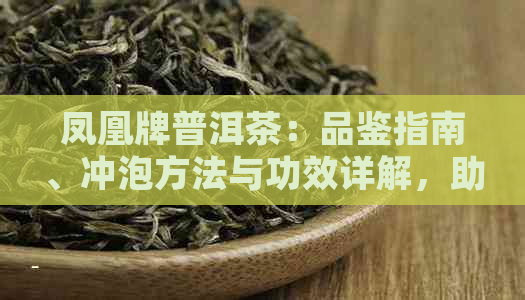 凤凰牌普洱茶：品鉴指南、冲泡方法与功效详解，助您轻松掌握普洱茶知识