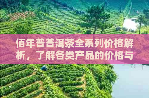 佰年普普洱茶全系列价格解析，了解各类产品的价格与品质