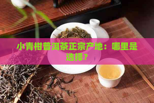 小青柑普洱茶正宗产地：哪里是选择？