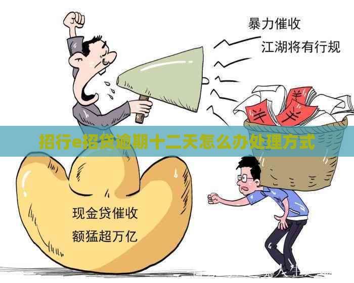 招行e招贷逾期十二天怎么办处理方式