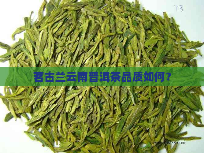 茗古兰云南普洱茶品质如何？