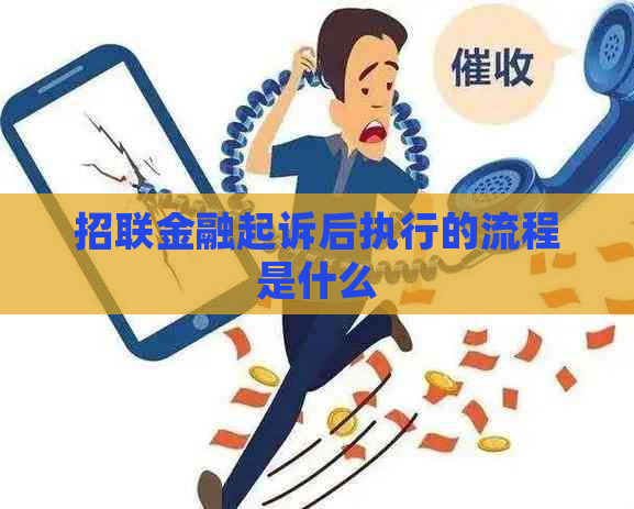 招联金融起诉后执行的流程是什么