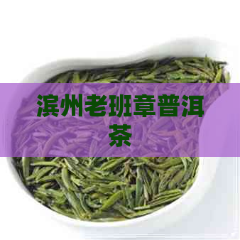 滨州老班章普洱茶