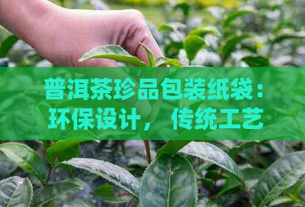 普洱茶珍品包装纸袋： 环保设计， 传统工艺与现代审美的完美结合