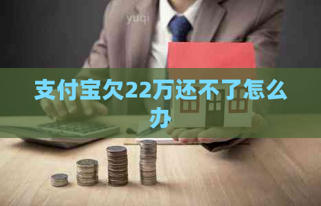 支付宝欠22万还不了怎么办