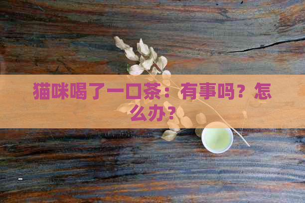 猫咪喝了一口茶：有事吗？怎么办？