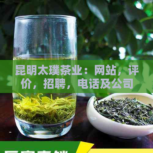 昆明太璞茶业：网站，评价，招聘，电话及公司详情