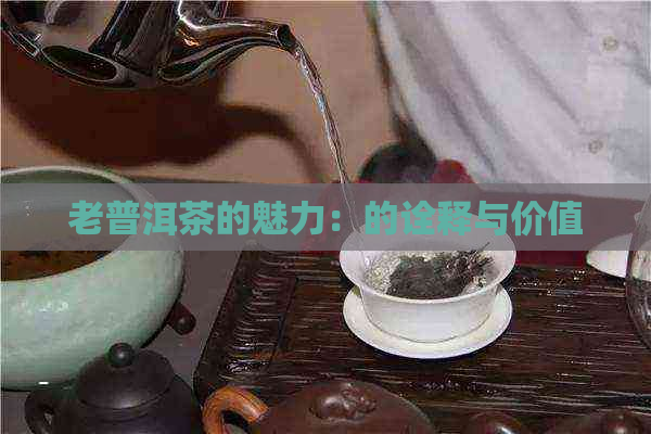 老普洱茶的魅力：的诠释与价值