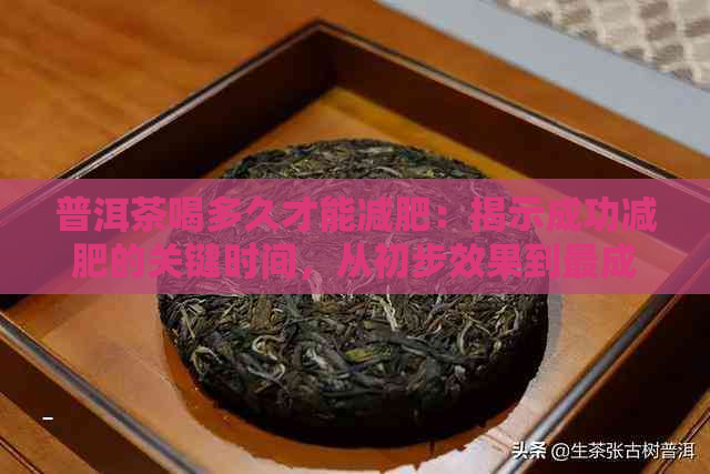 普洱茶喝多久才能减肥：揭示成功减肥的关键时间，从初步效果到最成就。