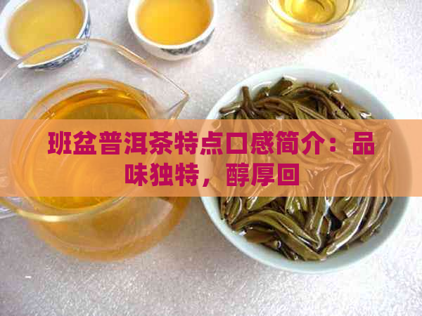 班盆普洱茶特点口感简介：品味独特，醇厚回