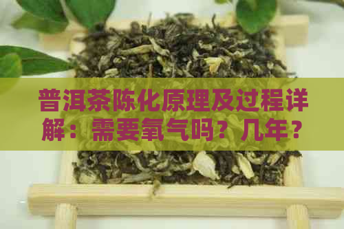 普洱茶陈化原理及过程详解：需要氧气吗？几年？与未陈化有何区别？