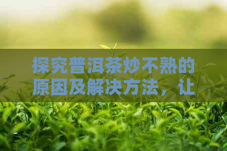 探究普洱茶炒不熟的原因及解决方法，让你更好地了解普洱茶的魅力