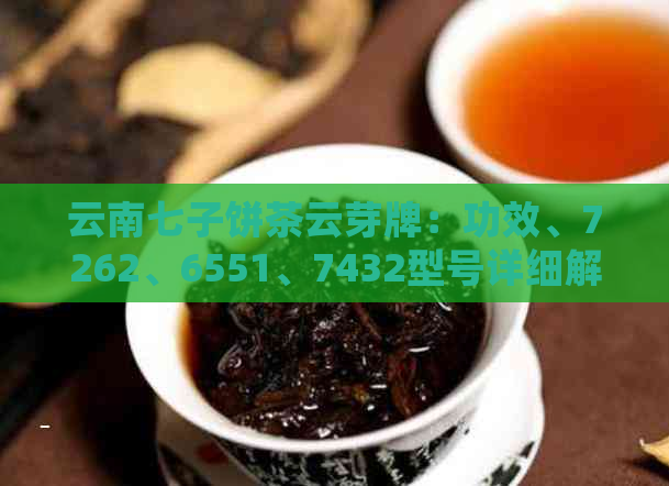 云南七子饼茶云芽牌：功效、7262、6551、7432型号详细解析