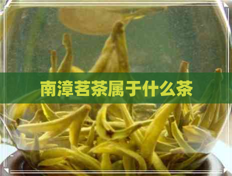 南漳茗茶属于什么茶