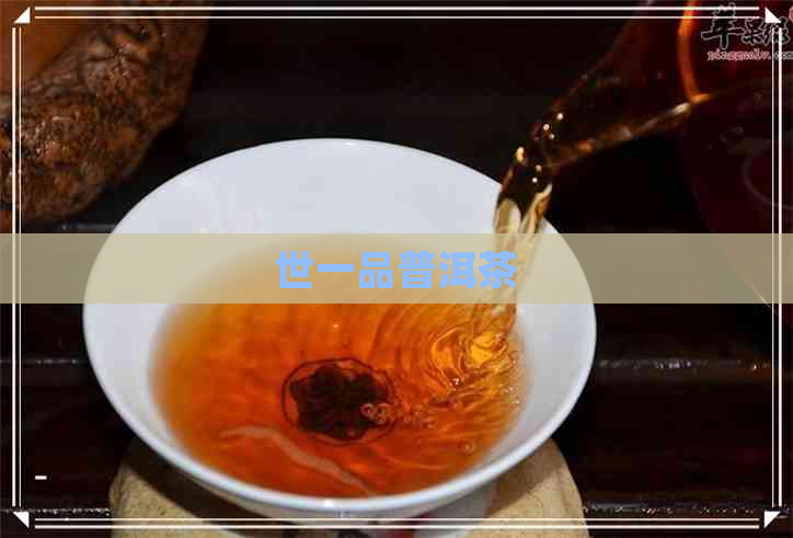 世一品普洱茶