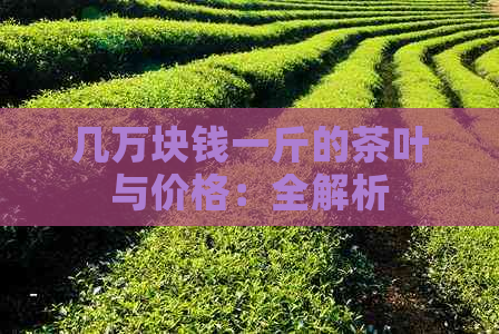 几万块钱一斤的茶叶与价格：全解析