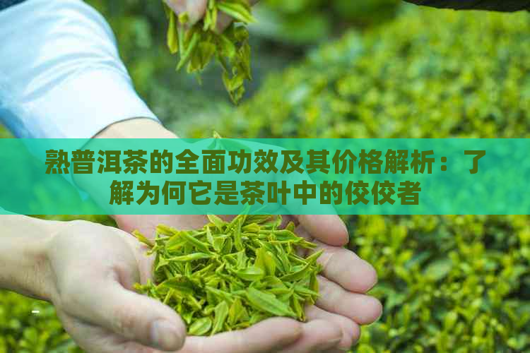 熟普洱茶的全面功效及其价格解析：了解为何它是茶叶中的佼佼者