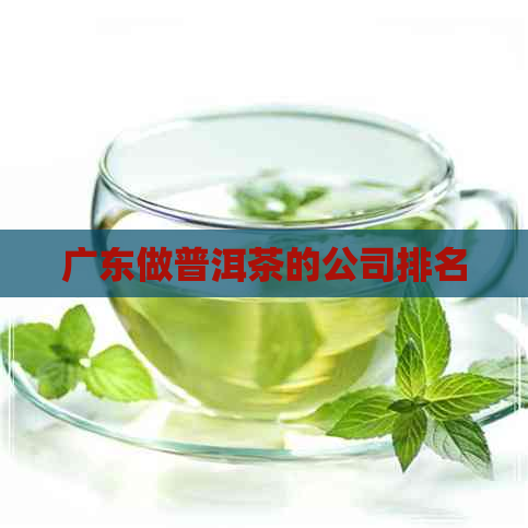 广东做普洱茶的公司排名