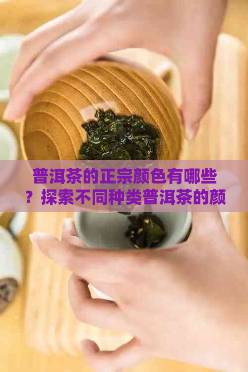 普洱茶的正宗颜色有哪些？探索不同种类普洱茶的颜色特点