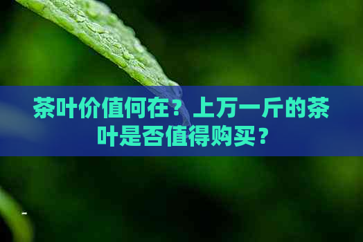 茶叶价值何在？上万一斤的茶叶是否值得购买？