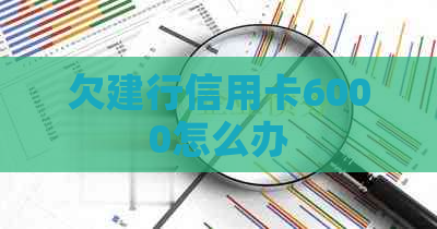 欠建行信用卡6000怎么办