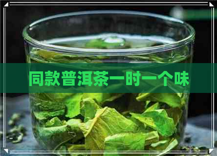 同款普洱茶一时一个味