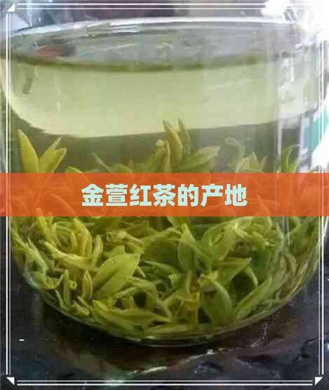 金萱红茶的产地