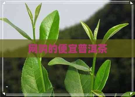 网购的便宜普洱茶