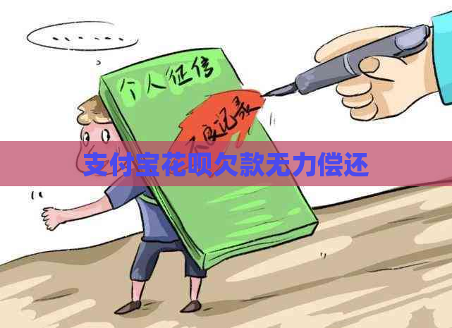 支付宝花呗欠款无力偿还