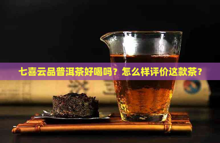 七喜云品普洱茶好喝吗？怎么样评价这款茶？