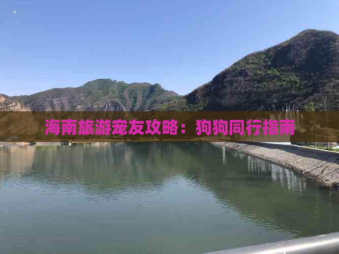 海南旅游宠友攻略：狗狗同行指南