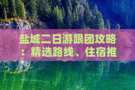 盐城二日游跟团攻略：精选路线、住宿推荐及游玩全指南