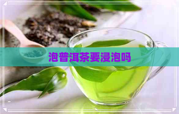 泡普洱茶要浸泡吗