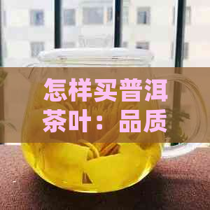 怎样买普洱茶叶：品质优良，口感醇厚，价格合理