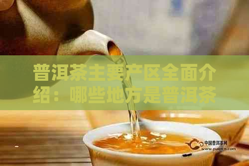 普洱茶主要产区全面介绍：哪些地方是普洱茶的主要产地？