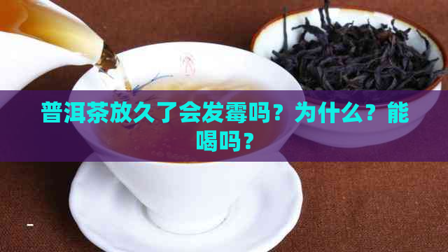 普洱茶放久了会发霉吗？为什么？能喝吗？