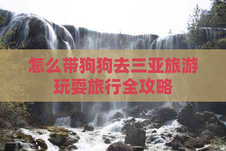 怎么带狗狗去三亚旅游玩耍旅行全攻略