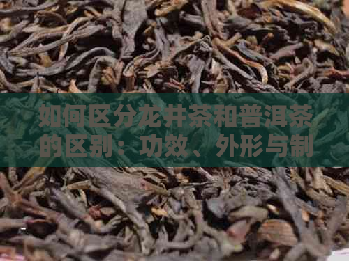 如何区分龙井茶和普洱茶的区别：功效、外形与制作工艺