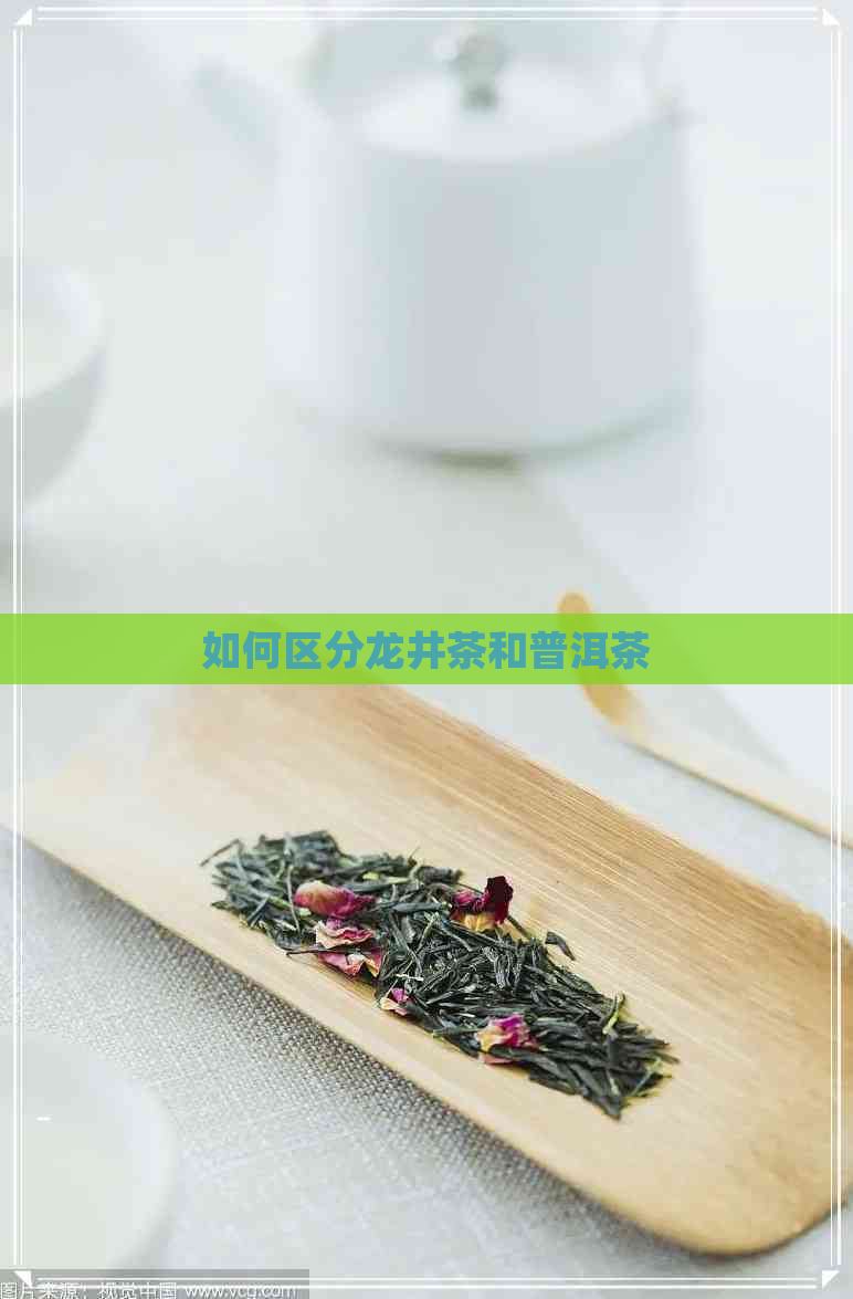 如何区分龙井茶和普洱茶