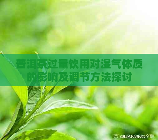 普洱茶过量饮用对湿气体质的影响及调节方法探讨