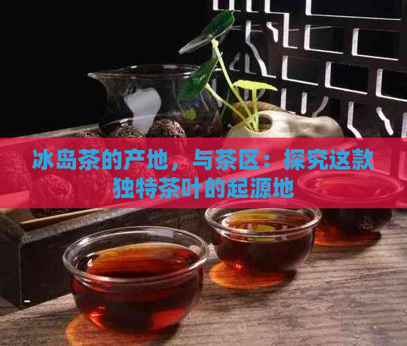 冰岛茶的产地，与茶区：探究这款独特茶叶的起源地