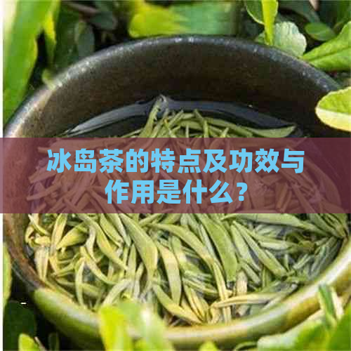 冰岛茶的特点及功效与作用是什么？