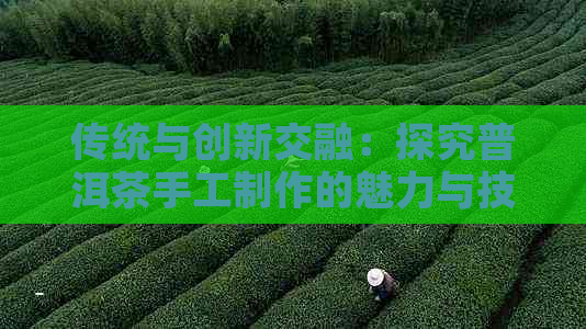 传统与创新交融：探究普洱茶手工制作的魅力与技巧