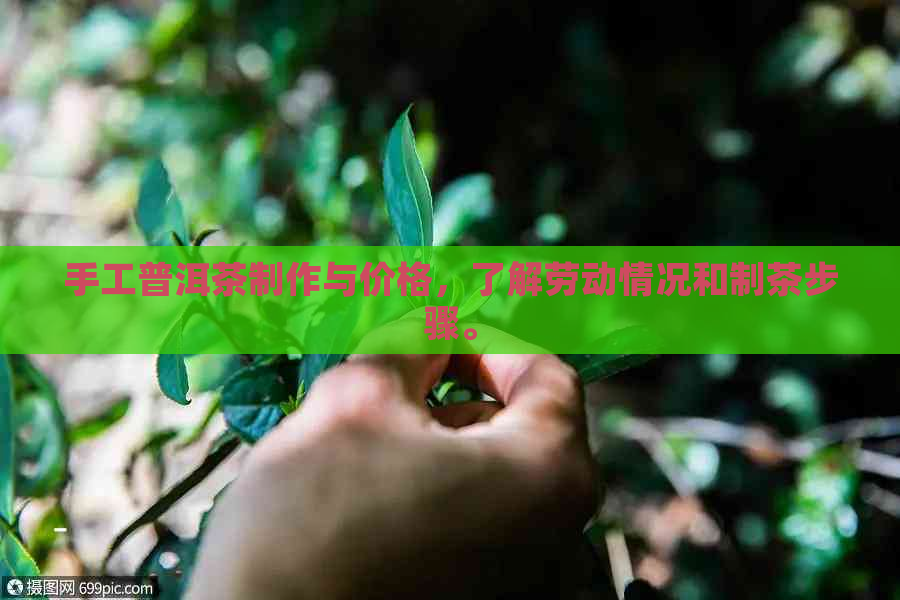 手工普洱茶制作与价格，了解劳动情况和制茶步骤。