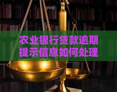 农业银行贷款逾期提示信息如何处理