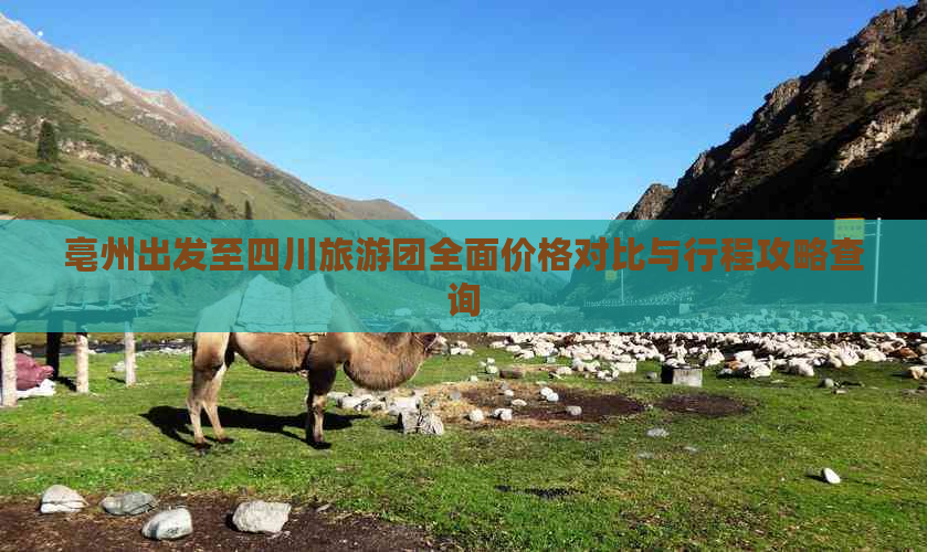 亳州出发至四川旅游团全面价格对比与行程攻略查询