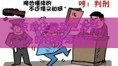 京东还款第三方介入的作用是什么