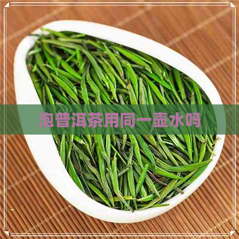 泡普洱茶用同一壶水吗