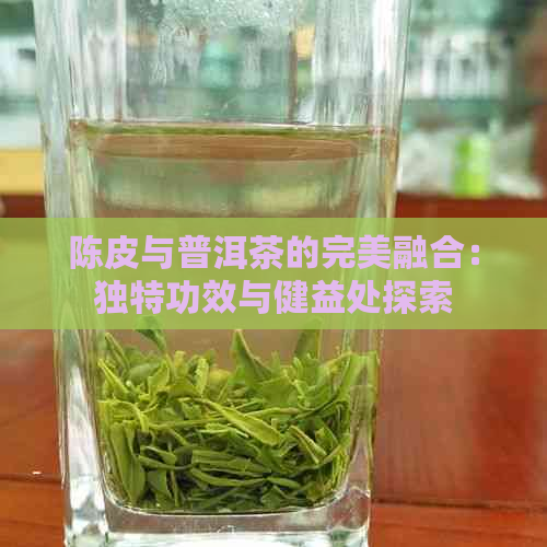 陈皮与普洱茶的完美融合：独特功效与健益处探索