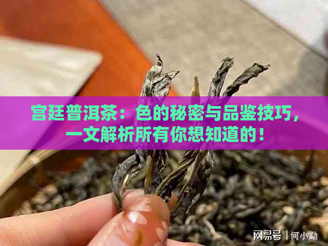 宫廷普洱茶：色的秘密与品鉴技巧，一文解析所有你想知道的！